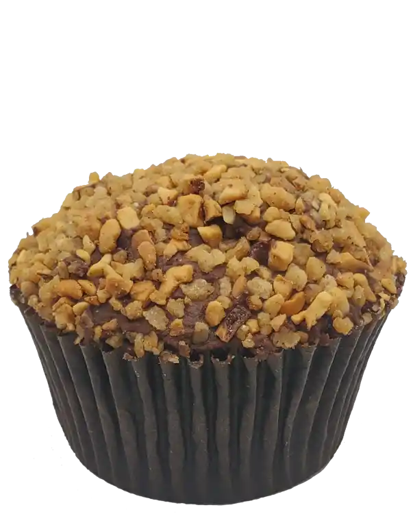 Chocolate cupcake topped with chocolate ganache and caramelized hazelnuts