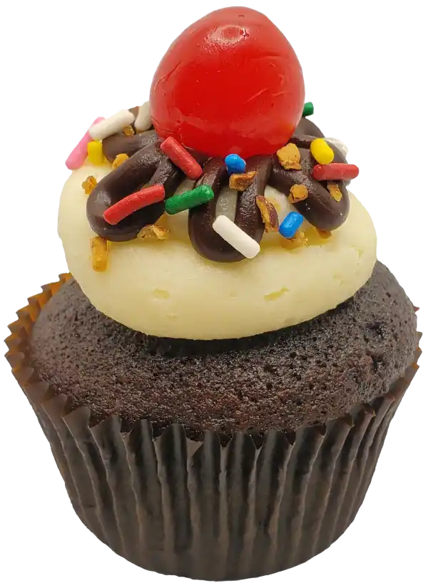 Chocolate cupcake with vanilla frosting, topped with sprinkles, hazelnuts, chocolate ganache, and a maraschino cherry.