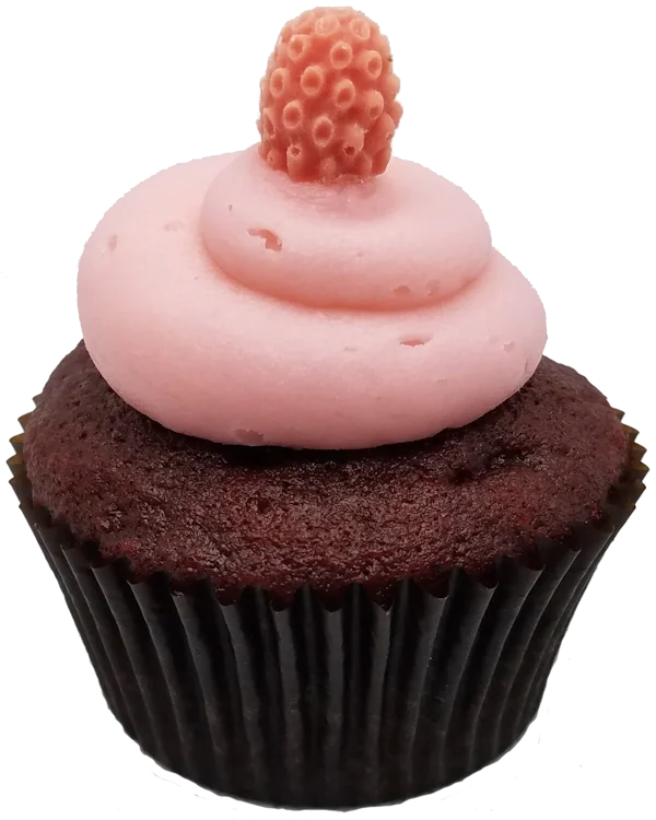 Red Velvet cupcake, topped with raspberry frosting and a red chocolate raspberry.