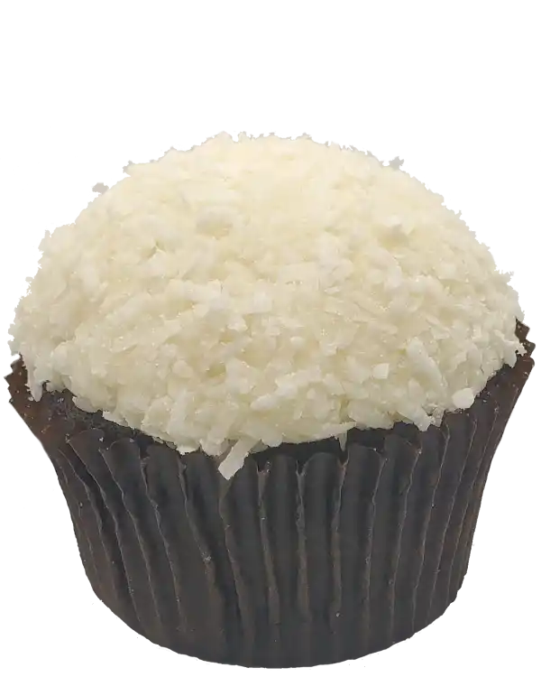 Chocolate cupcake with vanilla frosting topped with flaked coconut.