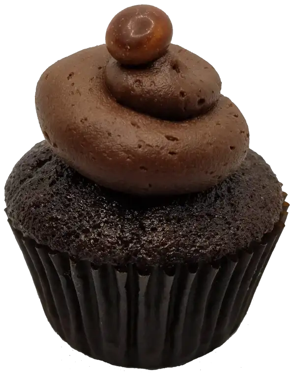 Chocolate cupcake topped with chocolate cream cheese frosting and a chocolate flower.