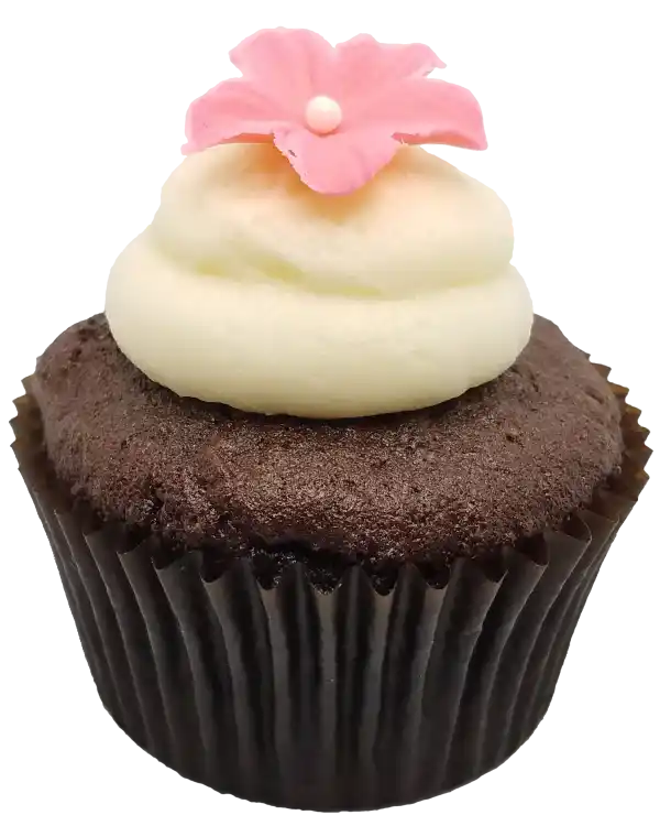 Chocolate cupcake topped with a vanilla cream cheese frosting and a chocolate flower.