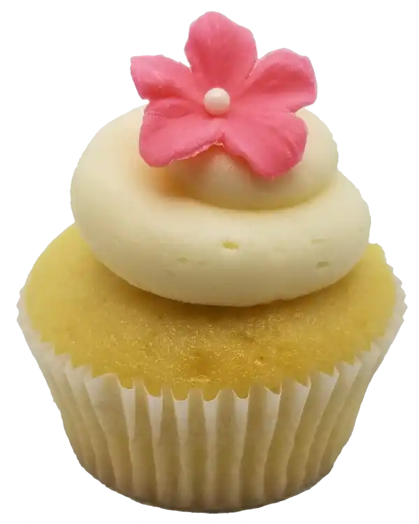 Vanilla cupcake topped with vanilla frosting and a hand-crafted fondant flower.